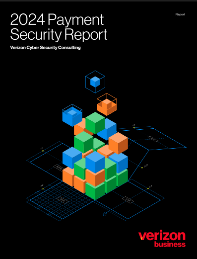  2024 Payment Security Report